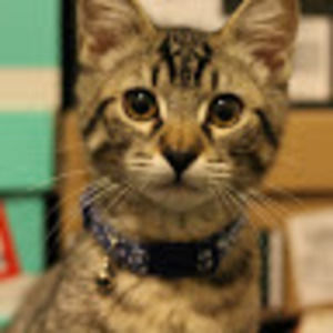 Meet your Posher, Brian